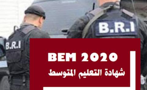 النسخة المصغرة