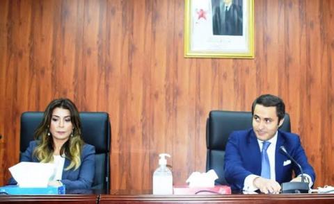 النسخة المصغرة