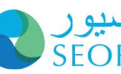 النسخة المصغرة