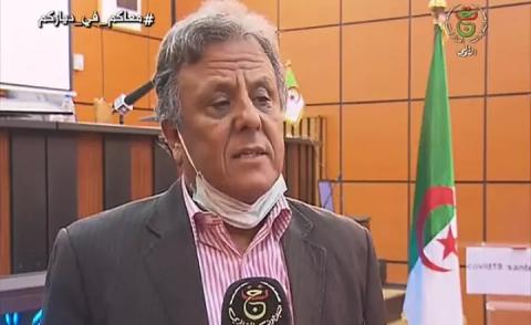النسخة المصغرة
