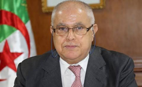 النسخة المصغرة