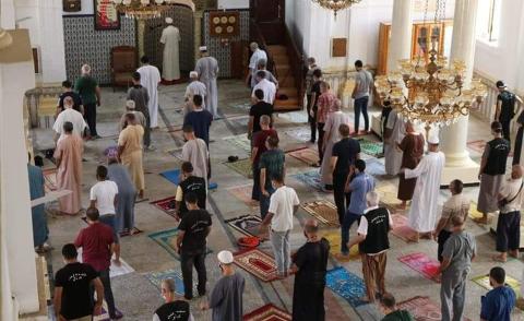 النسخة المصغرة