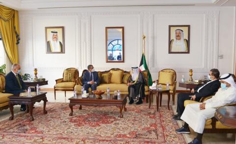 النسخة المصغرة