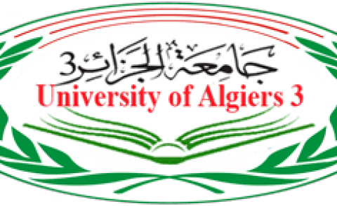 النسخة المصغرة