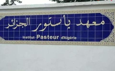 النسخة المصغرة