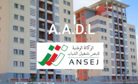 النسخة المصغرة