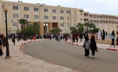 النسخة المصغرة