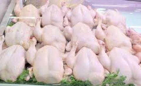 النسخة المصغرة