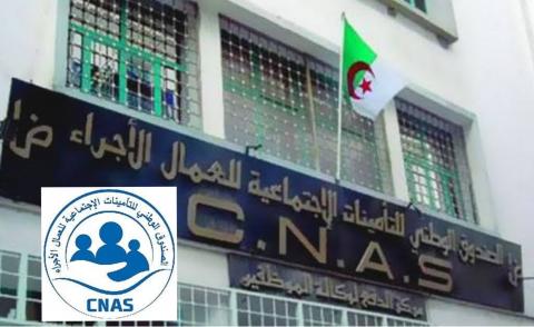 النسخة المصغرة
