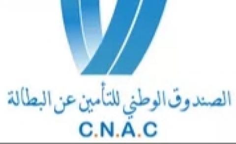 النسخة المصغرة