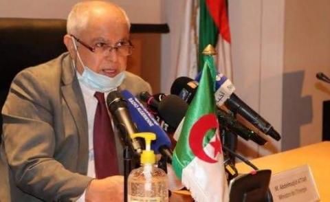 النسخة المصغرة
