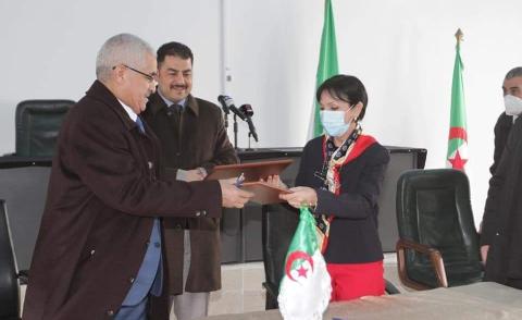 النسخة المصغرة
