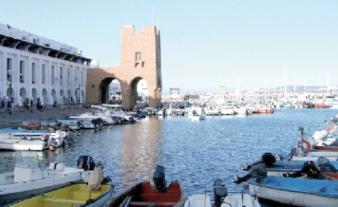 النسخة المصغرة