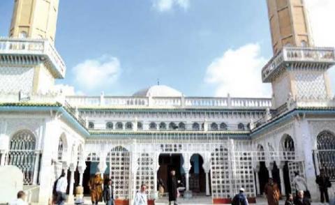 النسخة المصغرة