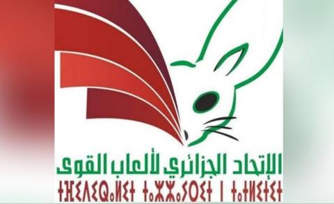 النسخة المصغرة