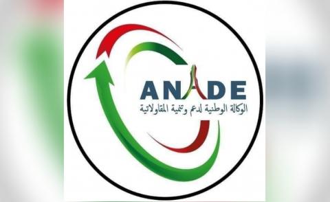 النسخة المصغرة