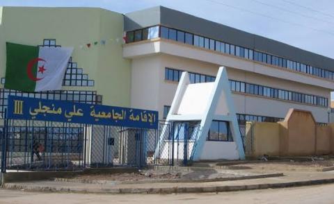 النسخة المصغرة