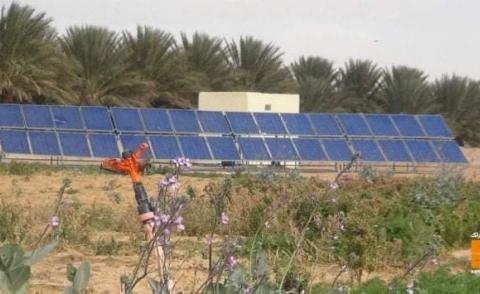 النسخة المصغرة