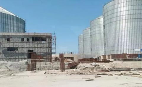 النسخة المصغرة