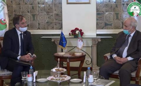 النسخة المصغرة