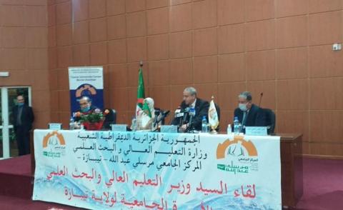 النسخة المصغرة