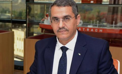 النسخة المصغرة