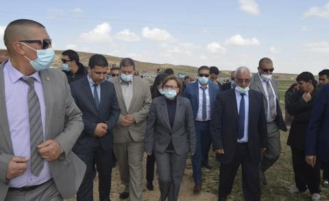 النسخة المصغرة