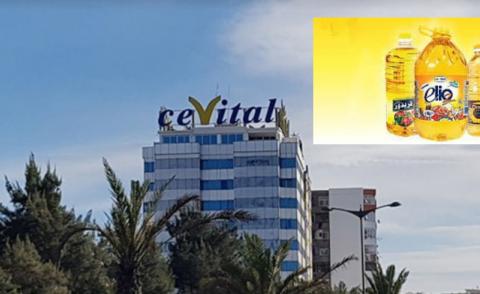 النسخة المصغرة