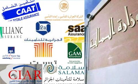 النسخة المصغرة