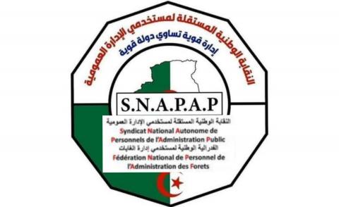 النسخة المصغرة