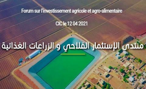النسخة المصغرة