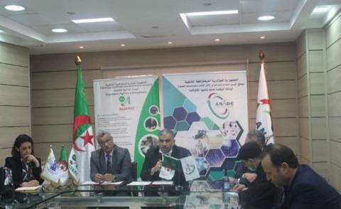 النسخة المصغرة