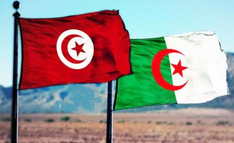 النسخة المصغرة