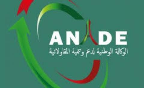 النسخة المصغرة