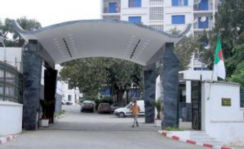 النسخة المصغرة