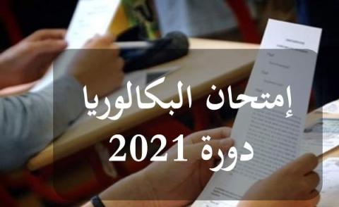 النسخة المصغرة