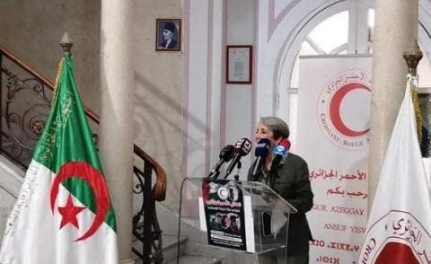 النسخة المصغرة