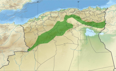 النسخة المصغرة