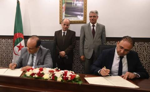 النسخة المصغرة