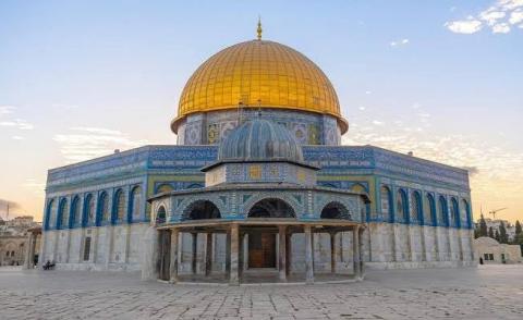 النسخة المصغرة