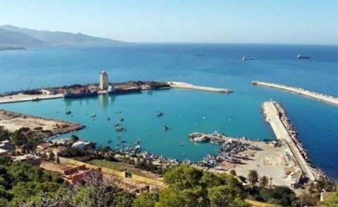 النسخة المصغرة