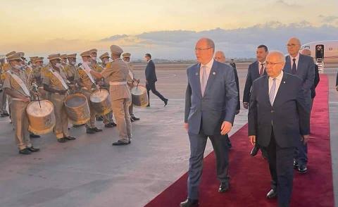 النسخة المصغرة
